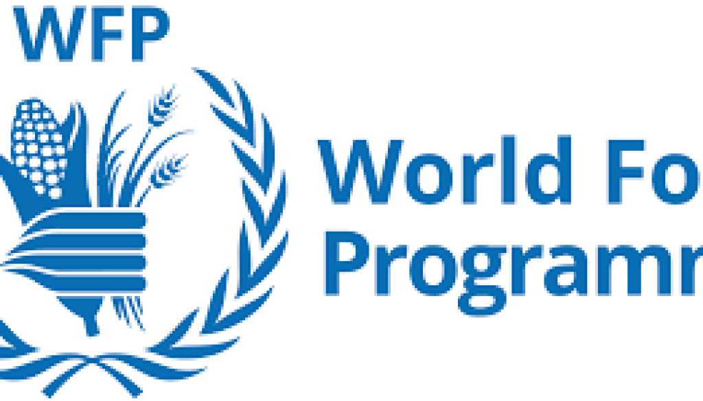Programme Policy Officer (Planning) Vacancy-Job Ref: ACAFWFP/1301/202403